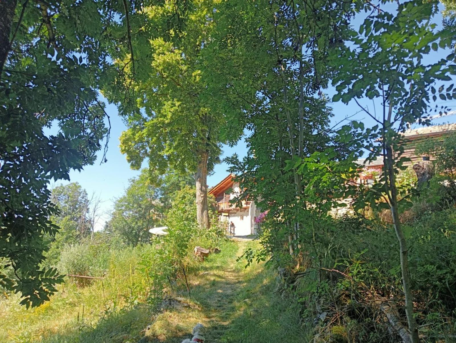 Home Sweet Home Antey-Saint-André Zewnętrze zdjęcie